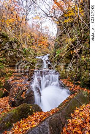 錦秋 奥入瀬渓谷 錦秋 奥入瀬渓谷 82217036
