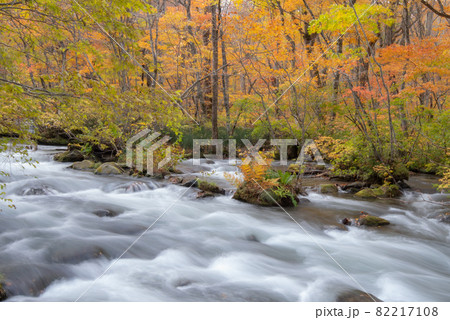 錦秋 奥入瀬渓谷 錦秋 奥入瀬渓谷 82217108
