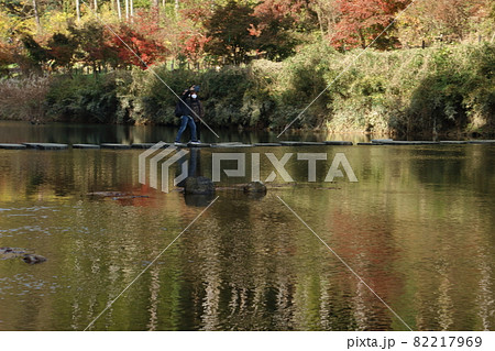 鎌北湖の黄葉 82217969