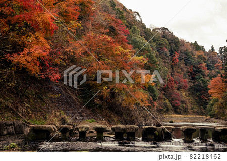 木々の緑も赤く染まり、秋の涼気を感じて山や川に行こう 82218462