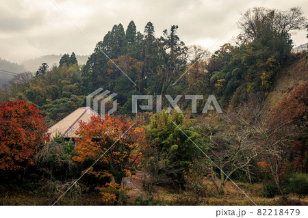 木々の緑も赤く染まり、秋の涼気を感じて山や川に行こう 82218479