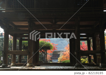 三芳町多福寺の紅葉 三芳町多福寺の紅葉 82219195