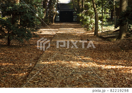 三芳町多福寺の紅葉 三芳町多福寺の紅葉 82219298