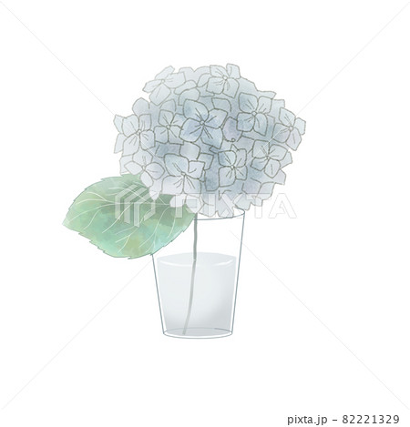 花瓶にさされた青色の紫陽花のイラスト素材
