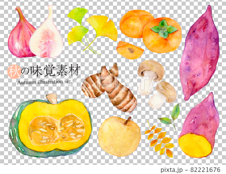 Autumn taste material set watercolor illustration 82221676