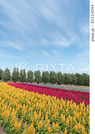 ファーム富田 ファーム富田 82224044