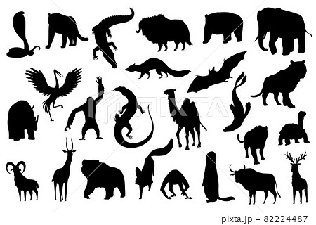 Collection of cute vector animals. Hand drawn silhouette animals which are common in Asia. Icon set isolated on a white background Collection of cute vector animals. Hand drawn silhouette animals which are common in Asia. Icon set isolated on a white background 82224487