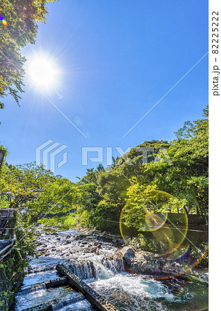 神奈川県箱根湯本　須雲川 82225222