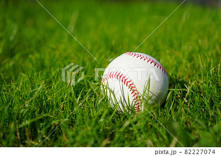 明るい屋外の天然芝に置かれた野球ボール 明るい屋外の天然芝に置かれた野球ボール 82227074