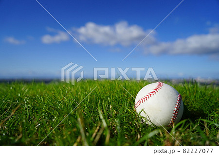 さわやかな青空と天然芝に置かれた野球ボール 82227077