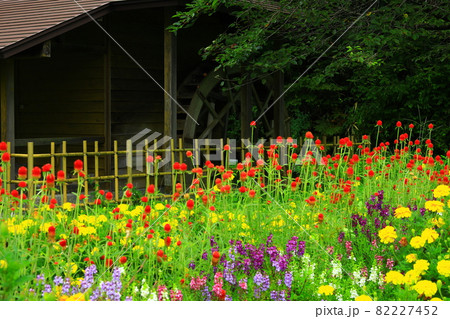 岩手県花巻市 秋の稚鍋川水車小屋 岩手県花巻市 秋の稚鍋川水車小屋 82227452