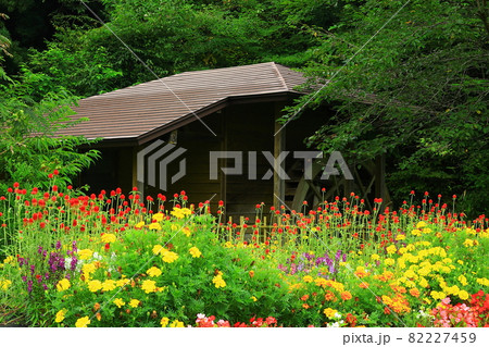 岩手県花巻市 秋の稚鍋川水車小屋 岩手県花巻市 秋の稚鍋川水車小屋 82227459