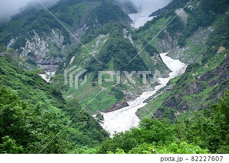 白馬尻小屋から白馬大雪渓と三号雪渓出合 82227607