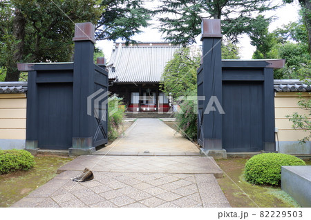 東叡山 寛永寺円頓院 根本中堂 東京都台東区上野桜木一丁目 天海 薬師如来 徳川将軍家の祈祷所菩提寺 東叡山 寛永寺円頓院 根本中堂 東京都台東区上野桜木一丁目 天海 薬師如来 徳川将軍家の祈祷所菩提寺 82229503
