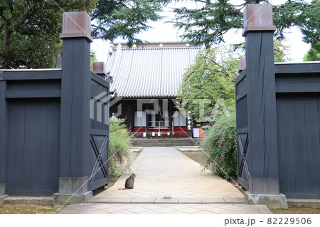 東叡山 寛永寺円頓院 根本中堂　東京都台東区上野桜木一丁目　天海　薬師如来　徳川将軍家の祈祷所菩提寺 82229506