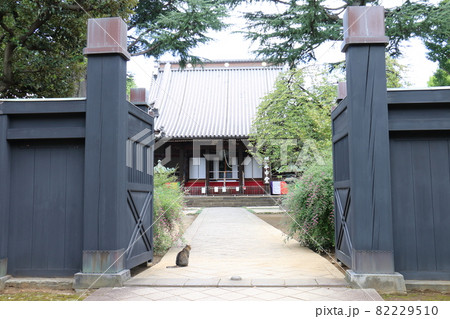 東叡山 寛永寺円頓院 根本中堂 東京都台東区上野桜木一丁目 天海 薬師如来 徳川将軍家の祈祷所菩提寺 東叡山 寛永寺円頓院 根本中堂 東京都台東区上野桜木一丁目 天海 薬師如来 徳川将軍家の祈祷所菩提寺 82229510