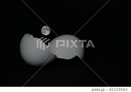 満月誕生 満月誕生 82229562