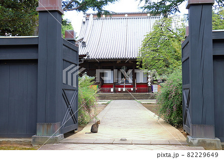 東叡山 寛永寺円頓院 根本中堂　東京都台東区上野桜木一丁目　天海　薬師如来　徳川将軍家の祈祷所菩提寺 82229649