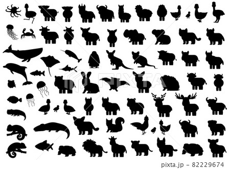 Animals silhouette big set. Vector elephant bat monkey lion tiger giraffe hippo rhinoceros bear whale penguin ostrich boar crocodile chicken dog crab dolphin fish jellyfish hare duck octopus cat Animals silhouette big set. Vector elephant bat monkey lion tiger giraffe hippo rhinoceros bear whale penguin ostrich boar crocodile chicken dog crab dolphin fish jellyfish hare duck octopus cat 82229674
