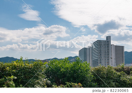 湖畔のビル群 82230065