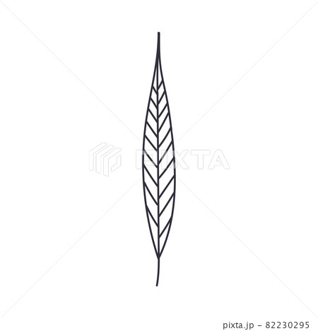 Hand Drawn Autumn Leaf Contour or Outline Vector Illustration Hand Drawn Autumn Leaf Contour or Outline Vector Illustration 82230295