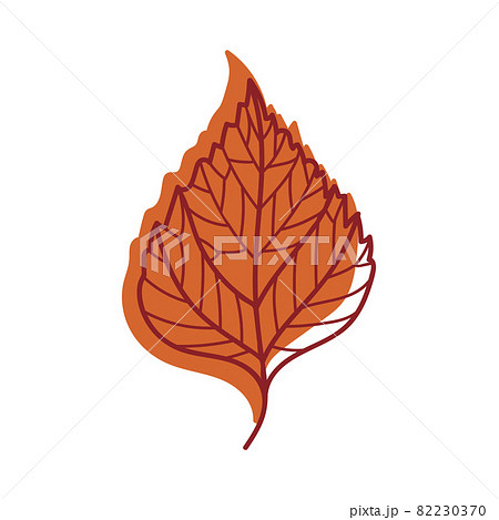 Red Autumn Birch Leaf with Veins as Seasonal Foliage on Stem Vector Illustration Red Autumn Birch Leaf with Veins as Seasonal Foliage on Stem Vector Illustration 82230370