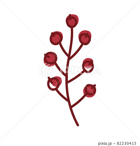 Red Rowan Berries Hanging on Branch as Autumn Foliage Vector Illustration 82230415
