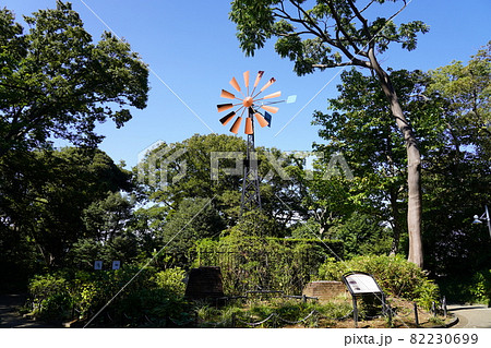 港の見える丘公園 フランス山 旧フランス領事官邸遺構 港の見える丘公園 フランス山 旧フランス領事官邸遺構 82230699