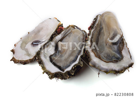 Opened oysters isolated on white 82230808