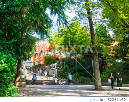 東京 吉祥寺 井の頭公園 東京 吉祥寺 井の頭公園 82231160
