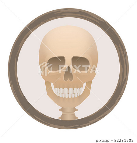 Skull or Deaths head logo in a round frame - creepy, spooky, frightening, but with a friendly smile. Isolated vector illustration on white background. Skull or Deaths head logo in a round frame - creepy, spooky, frightening, but with a friendly smile. Isolated vector illustration on white background. 82231505
