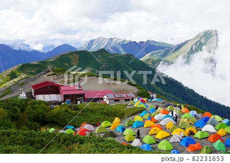 蝶ヶ岳に咲く色 82231653