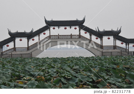 中国、江蘇省、錦渓、古蓮池、古蓮長堤と三亭橋、江南水郷、古鎮(古い街並みの残る風情ある町) 中国、江蘇省、錦渓、古蓮池、古蓮長堤と三亭橋、江南水郷、古鎮(古い街並みの残る風情ある町) 82231778