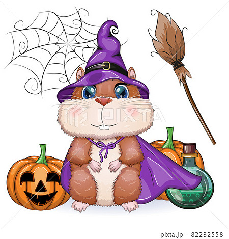 Cartoon hamster wearing purple witch hat with broom, potion or pumpkin jack. Halloween poster 82232558