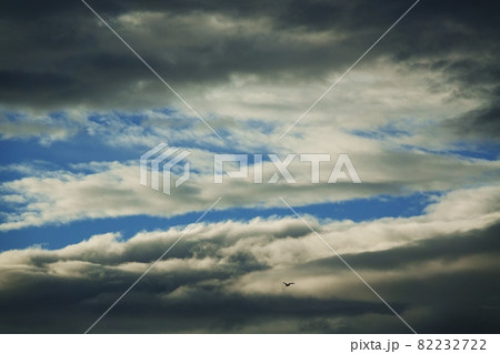 初秋の朝空・朝日に照らされた雲 82232722