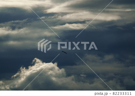 初秋の朝空・朝日に照らされた雲 82233311