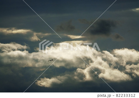 初秋の朝空・朝日に照らされた雲 82233312