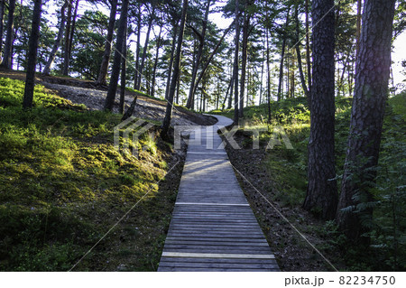 Wooden Trail Through the Forest Sand Dunes to the Ocean Beach 82234750