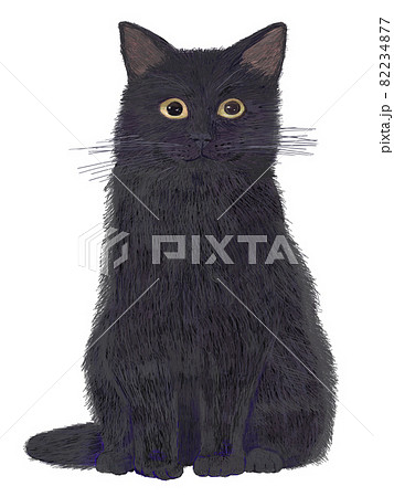 黒猫正面お座り リアルタッチのイラスト素材