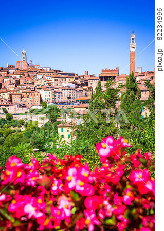 Siena, Tuscany, Italy - Torre del Mangia and the Dome 82234996