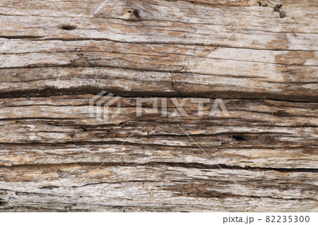 tree stump texture background 82235300