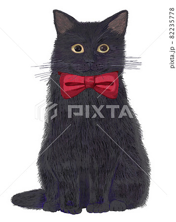 リボンつき黒猫正面お座り_リアルタッチ 82235778