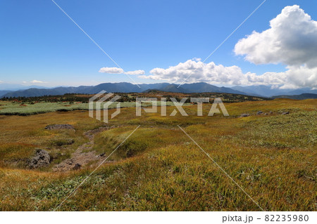 2021年9月、秋の新潟県の苗場山への登山 2021年9月、秋の新潟県の苗場山への登山 82235980