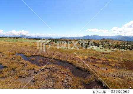 2021年9月、秋の新潟県の苗場山への登山 2021年9月、秋の新潟県の苗場山への登山 82236065