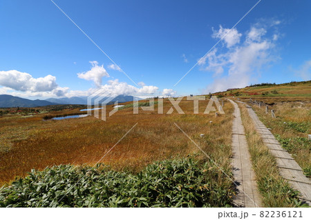 2021年9月、秋の新潟県の苗場山への登山 2021年9月、秋の新潟県の苗場山への登山 82236121