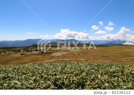 2021年9月、秋の新潟県の苗場山への登山 2021年9月、秋の新潟県の苗場山への登山 82236122
