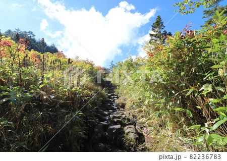 2021年9月、秋の新潟県の苗場山への登山 2021年9月、秋の新潟県の苗場山への登山 82236783