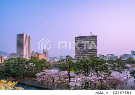 春の勝山公園の眺め 春の勝山公園の眺め 82237163