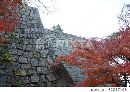丸亀城の石垣（香川県丸亀市） 82237168