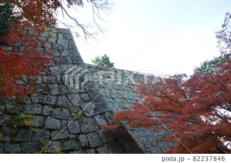 丸亀城の石垣(香川県丸亀市) 丸亀城の石垣(香川県丸亀市) 82237846